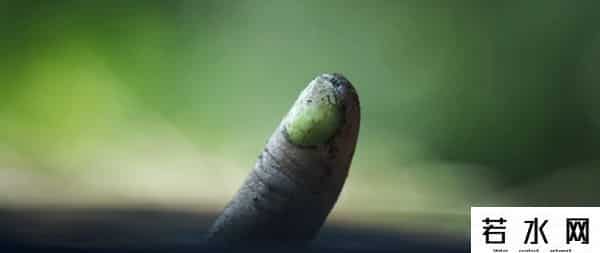 你的隐私数据正在网上裸奔