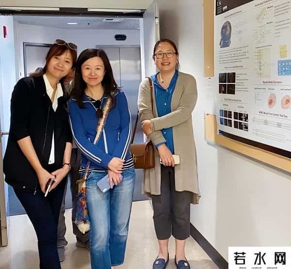 杜拉拉升职记票房