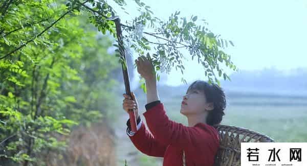 李子柒说不缺勇气