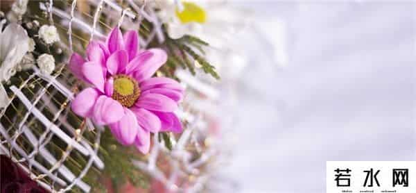 天涯社区一路同行