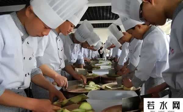 985本硕生转读烹饪技校