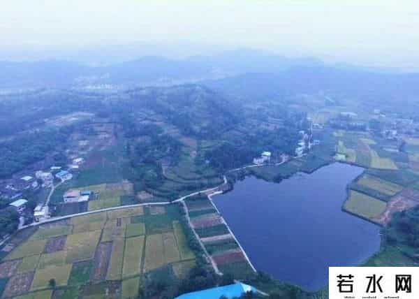 卡哇猪手机电影