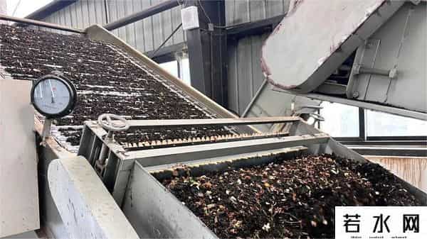 栀子花价格飙涨至35元每斤