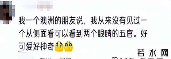 中国人是世界上最诚实的人吗