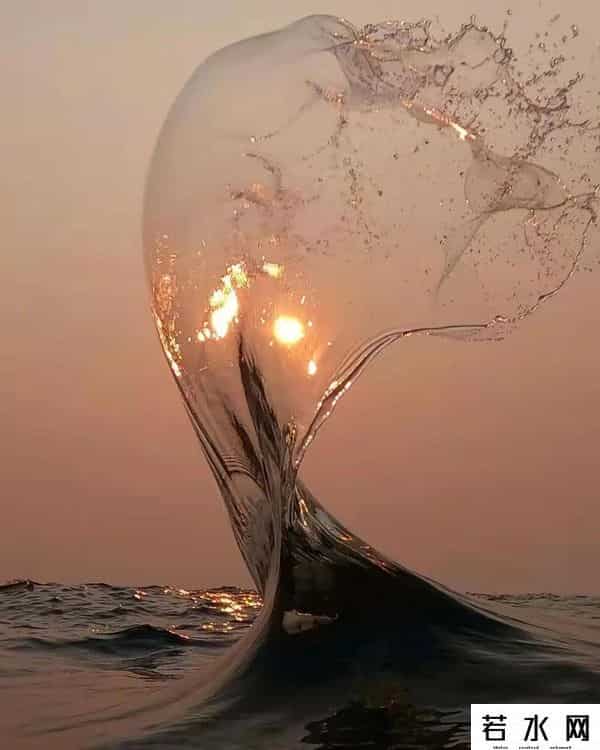 女孩子的圆规是什么梗