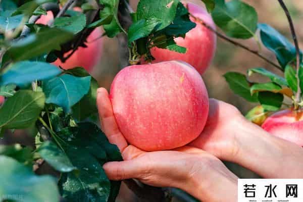 iphone 5上市时间