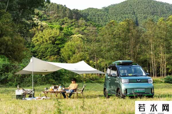 玉桂狗居然是男的