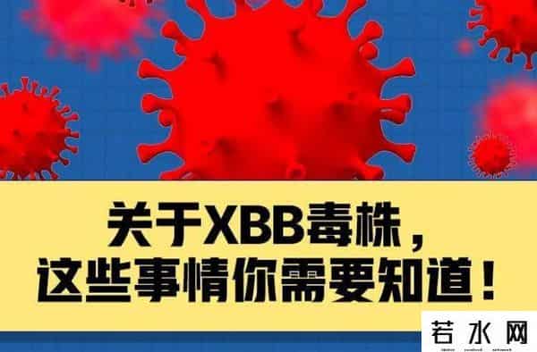 xbb会再度暴击中国吗-专家解读