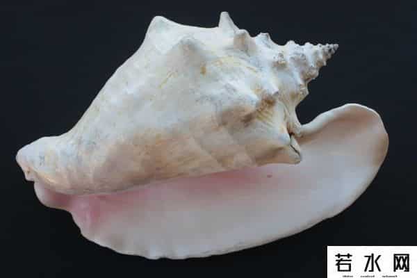 世界上最稀有的颜色