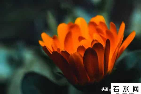 永远保持随时可以离开的能力