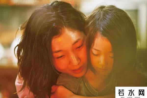 小偷家族深度解析