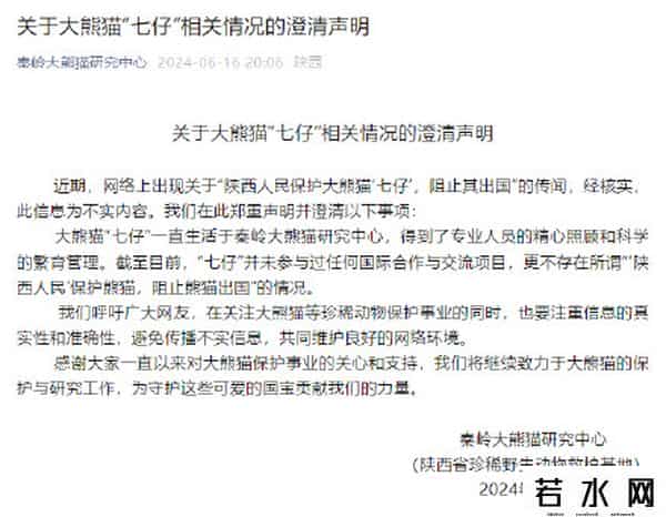 官方辟谣陕西人阻止大熊猫七仔出国