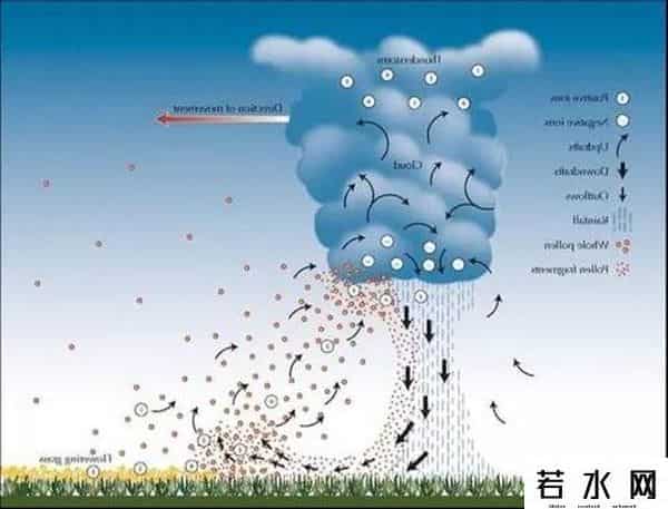 官方回应呼市暴雨引雷暴哮喘