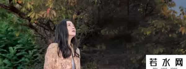 日本av人气排名