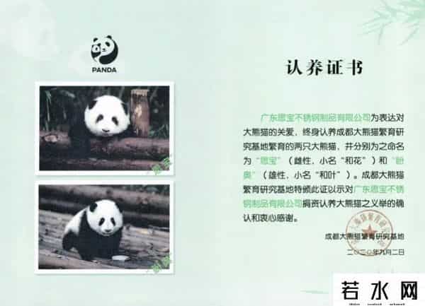 大熊猫和花和叶已被企业认养