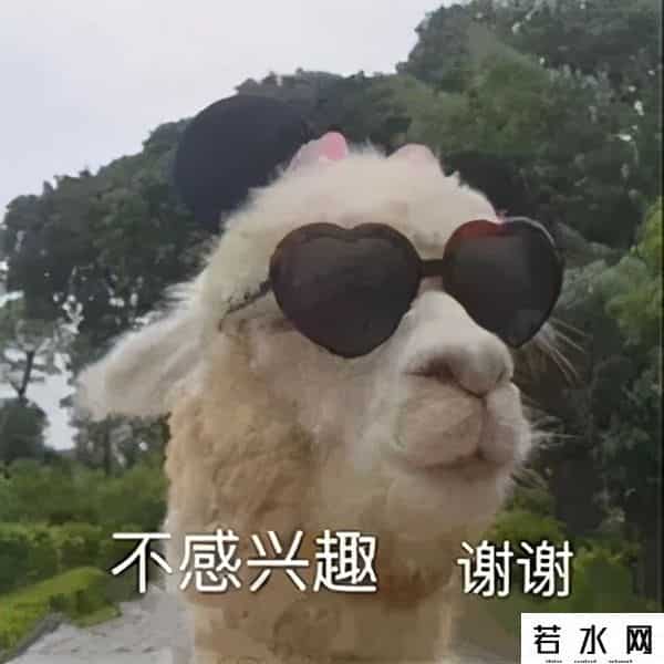 微信圈子停运是什么意思