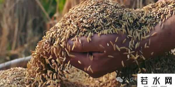 撒哈拉以南的非洲