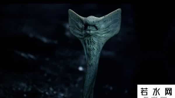 普罗米修斯 字幕