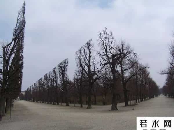 瓦莱里娅 卢基亚诺娃