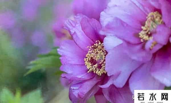 爱回收二手良品