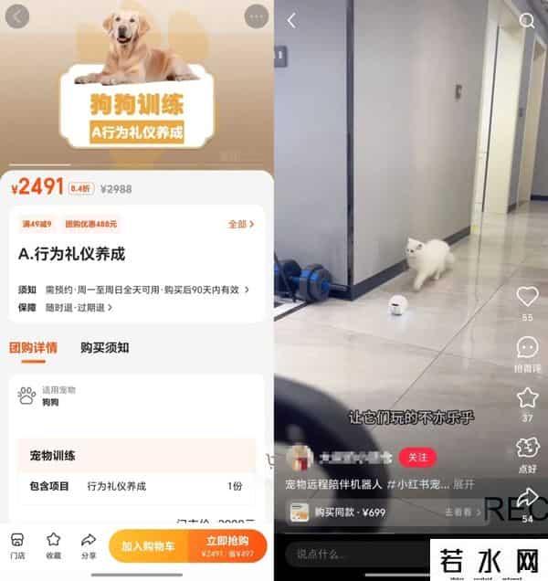 全村唯一拥有电话手表的小狗