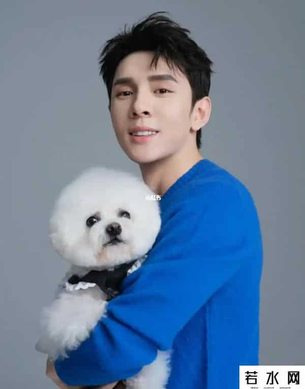 中国网红排行榜