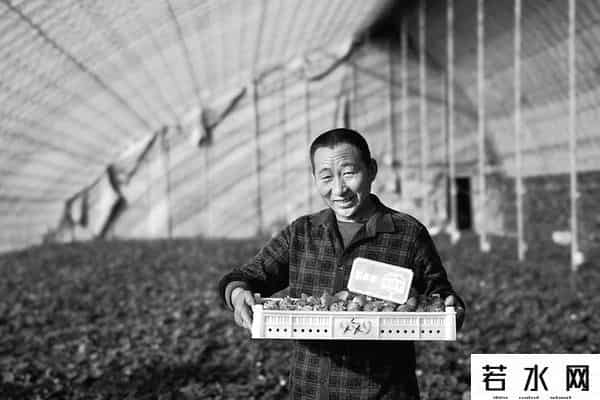 拼多多 市场名单