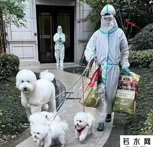 李佳琦被永久封禁了吗