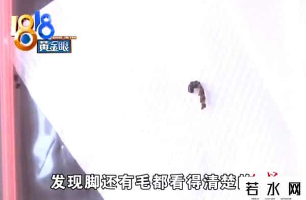 2020年315晚会延期