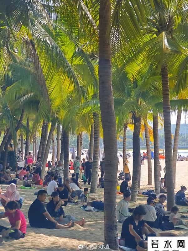 占领三亚的不再是东北人而是上海人