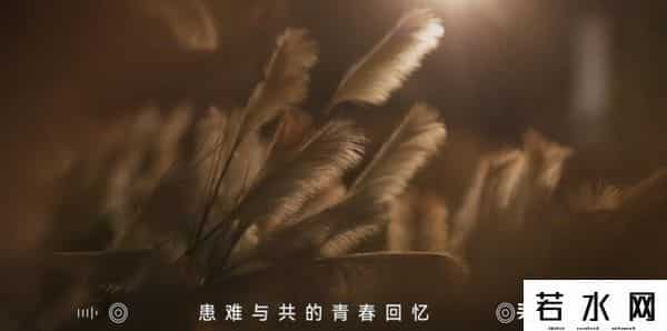 快乐男声收视率