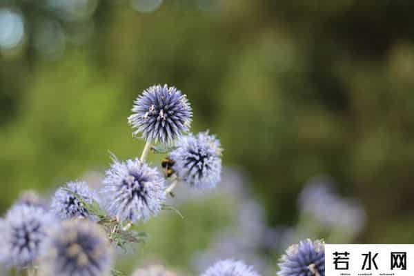 周杰疑讽刺吴亦凡