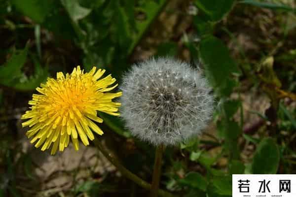 周杰疑讽刺吴亦凡