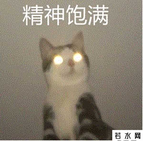 追瘦你追瘦我
