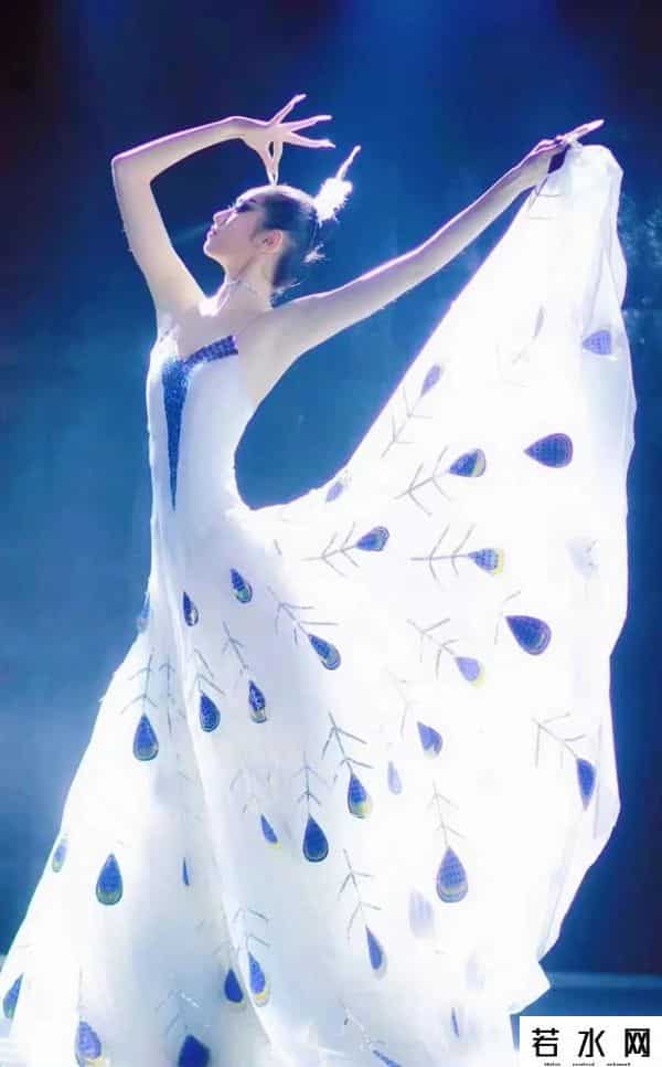 杨丽萍谈解散云南映象团队