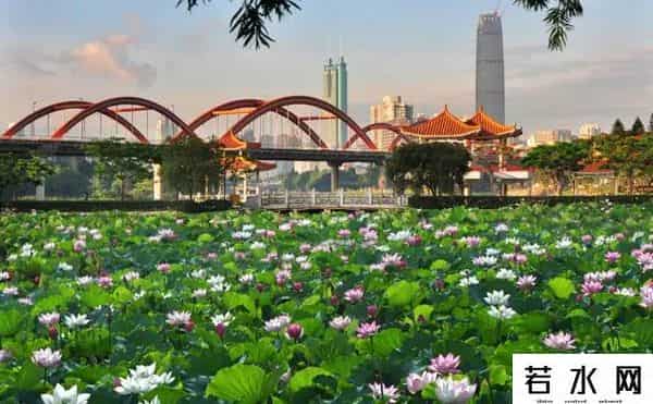 丁一晨非你莫属