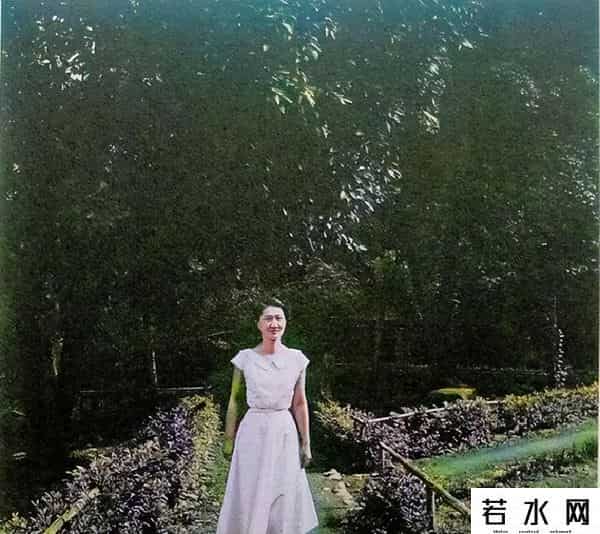 大胸年轻的搜子4