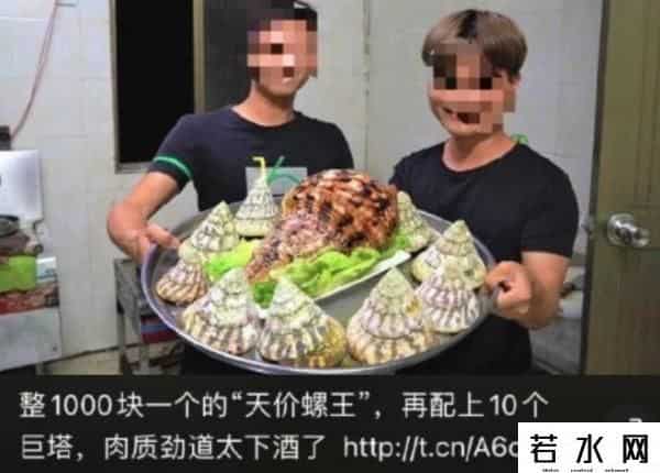 博主食用保护动物