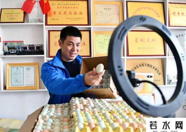 江苏200亩荒野农场-过乡村生态生活