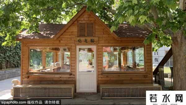 故宫博物院卖萌