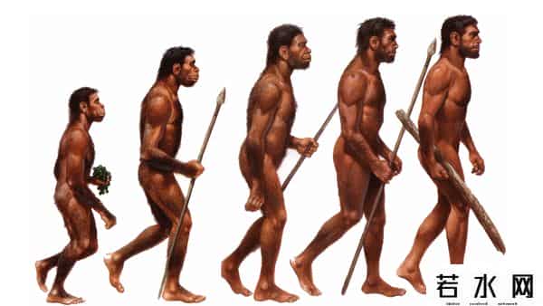 寄生蜂会寄生人类吗