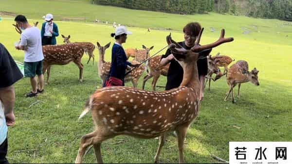 谁在鹤岗喝38元一杯的咖啡