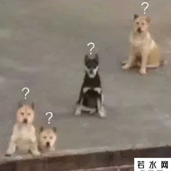 黄色网站有哪些