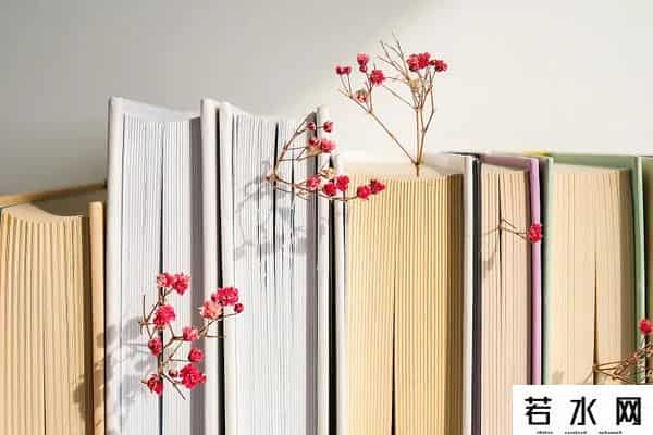 女孩子的圆规是什么梗