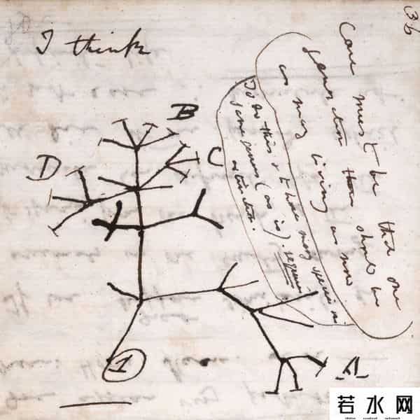 寄生蜂会寄生人类吗