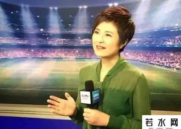 张泉灵北大演讲