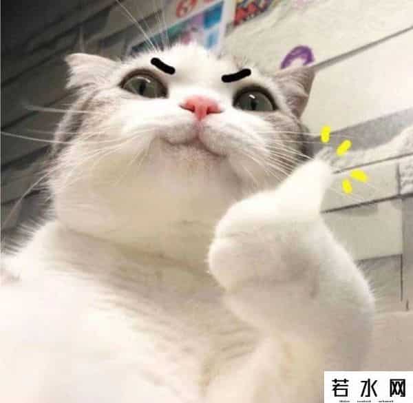 qq旋风离线下载是什么意思