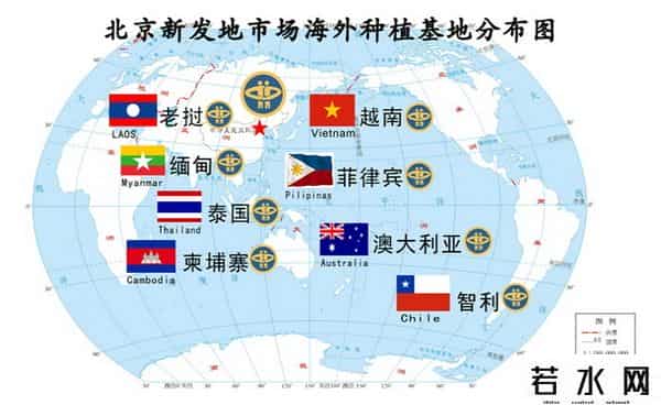 新发地十大王都有谁