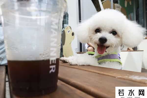 小区解封后上海人做的第一件事买咖啡