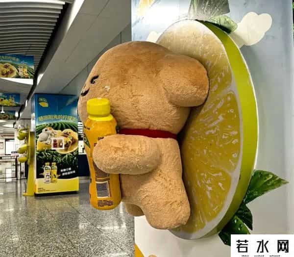 明星代言平面广告